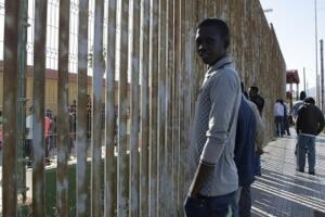 melillahoy.cibeles.net fotos 766 equo com