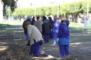 melillahoy.cibeles.net fotos 792 plan empleo