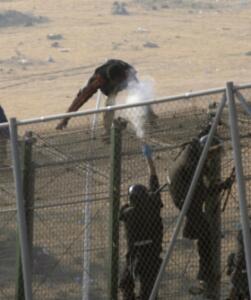 melillahoy.cibeles.net fotos 831 FOTO EDITORIAL d