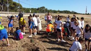 melillahoy.cibeles.net fotos 865 medio ambiente com