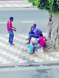 melillahoy.cibeles.net fotos 955 limp