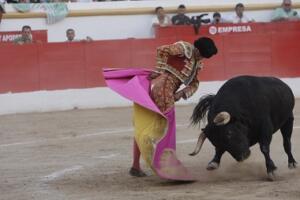 melillahoy.cibeles.net fotos 964 toros com