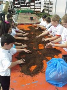 melillahoy.cibeles.net fotos 972 foto p 2 d