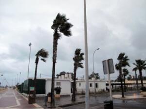 melillahoy.cibeles.net fotos 1094 temporal 2 d