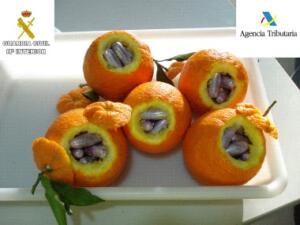 melillahoy.cibeles.net fotos 1108 naranjas d