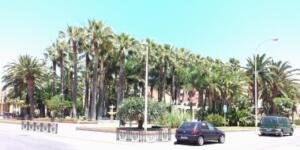 melillahoy.cibeles.net fotos 1109 1 Parque del Hipodromo d