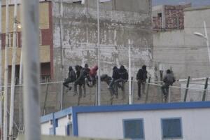 melillahoy.cibeles.net fotos 1115  SGG7522