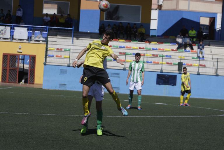 melillahoy.cibeles.net fotos 1140  SGG3456