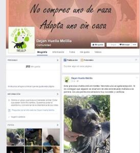 melillahoy.cibeles.net fotos 1155 animales