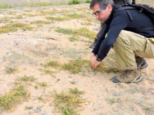 melillahoy.cibeles.net fotos 1182 Guemes D