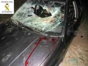 melillahoy.cibeles.net fotos 1215 Detalle danos dd