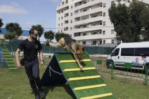 melillahoy.cibeles.net fotos 1565  SGG0850