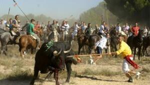 melillahoy.cibeles.net fotos 1585 toro