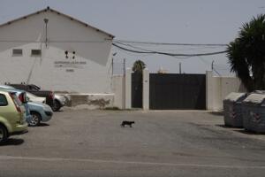 melillahoy.cibeles.net fotos 1636  SGG1202