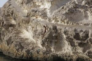 melillahoy.cibeles.net fotos 1636  SGG1297