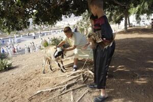 melillahoy.cibeles.net fotos 1643  SGG7409