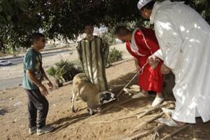 melillahoy.cibeles.net fotos 1672  SGG7431