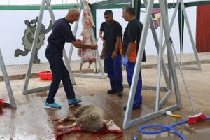 melillahoy.cibeles.net fotos 1698 IMG 0409