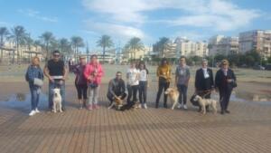 melillahoy.cibeles.net fotos 1754 perros dd