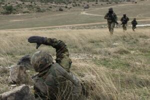 melillahoy.cibeles.net fotos 1758 Chinchilla 1