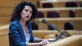 La senadora andaluza Maribel Mora pide explicaciones por el joven que logró colarse en un avión