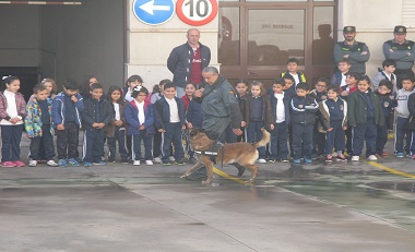 Los estudiantes disfrutaron, sobre todo, con la exhibición de los perros del Servicio Cinológico