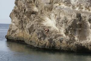 Medio Ambiente también está tapando algunas cuevas que están en la zona de acantilados