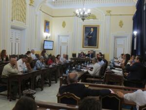 Este asunto era el único del orden del día del pleno extraordinario celebrado ayer