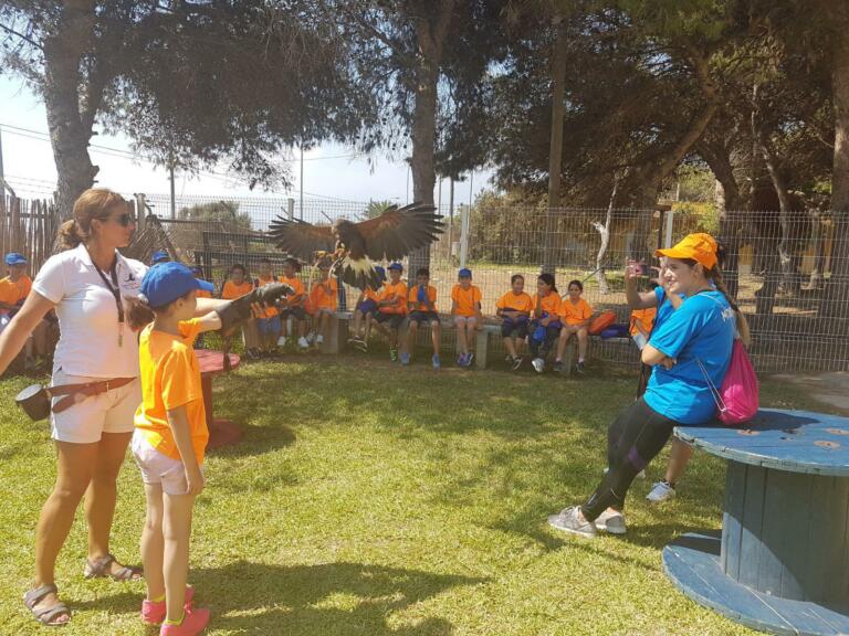 Con las aves rapaces