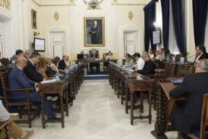 PP, Cs y Grupo Mixto votaron a favor, PSOE se abstuvo, y CPM votó en contra