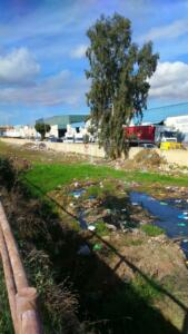 Guelaya advierte que los aceites industriales usados son un residuo peligroso y durante su uso pueden contaminarse con hidrocarburos, metales, fenoles, azufre y un largo etc.