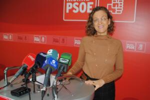 Rojas prevé poco futuro a la Mesa por el Empleo si el objetivo del PP es sacarle “rédito político”