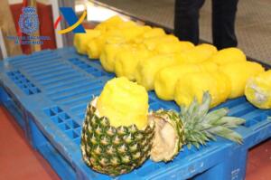 Con 72 años lideraba una organización en la que estaban cuatro de sus hijos y dos yernos, siendo 11 personas las arrestadas