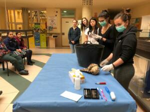 Alumnos de los dos centros educativos en una actividad