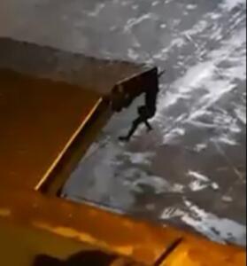 Secuencia del vídeo, que se ha hecho viral