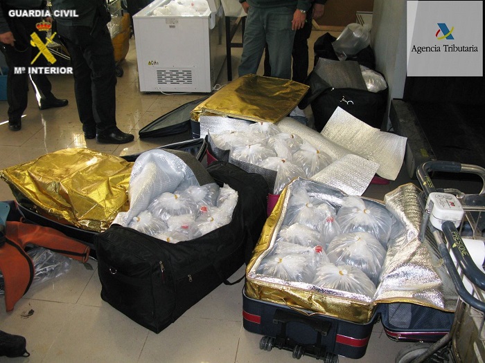 Fue sorprendido en el puerto de Melilla con 109 kilos de angulas vivas en el interior de maletas y bolsos de viaje