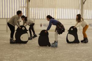 El acusado tiró una piedra en el año 2016 a una máquina que producía hielo en la pista de patinaje