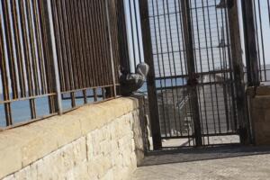 En los últimos cinco años se han presentado 189 denuncias por casos de lesiones que sufrieron menores inmigrantes