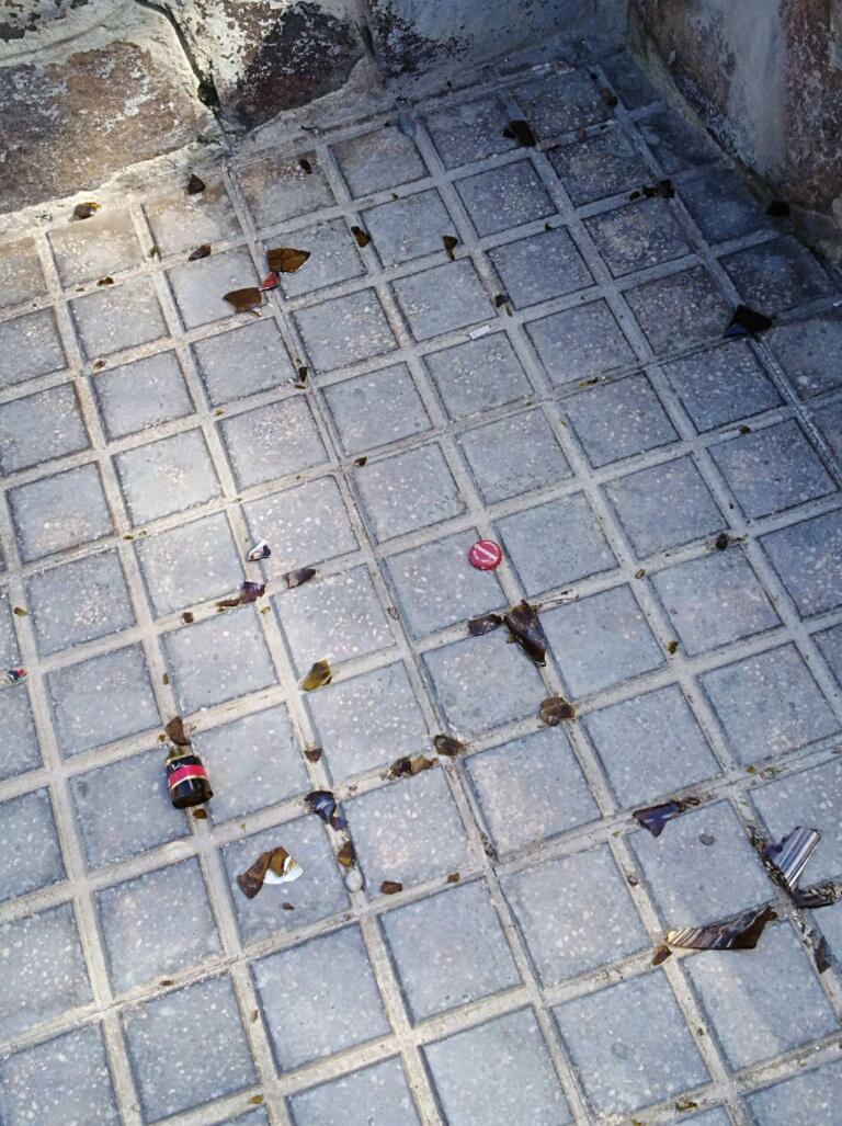 "Hace más de 2 años que paseo por el citado jardín, al menos, una vez al día. Son muchas más pero prefiero pecar de prudente. Y NUNCA, repito, NUNCA he visto a ningún barrendero o máquina de limpieza haciendo la misma en el citado “El Jardín del Agua”"