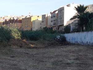 A pesar del mal tiempo, este numeroso grupo participó en la acción ecologista en una considerada zona de especial conservación (ZEC) como es el barranco Nano