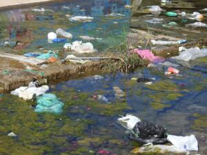 Bolsas y envases de plástico en el río de Oro de Melilla
