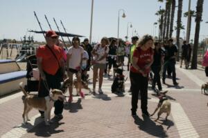La caminata canina recorrió el Paseo Marítimo