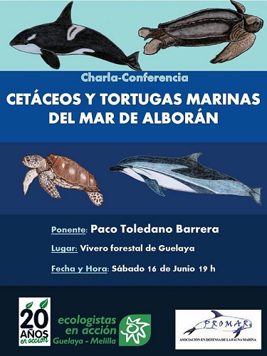 Cartel de Guelaya sobre cetáceos y tortugas marinas