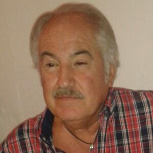 José Luis Poza Quintas