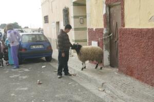 Los musulmanes tienen derecho a comprar el cordero que deseen