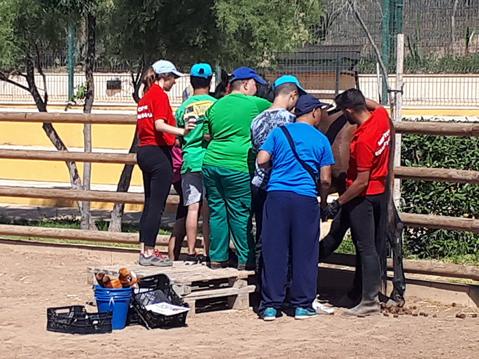 La actividad se desarrolla en el Parque Granja Escuela Rey Felipe VI