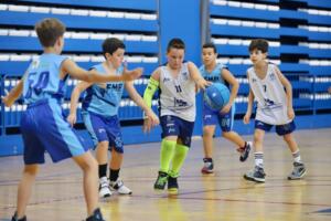 Baloncesto en estado puro