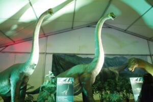 Algunos de los dinosaurios que se pueden ver en la ‘Expo Jurásico’ en San Lorenzo