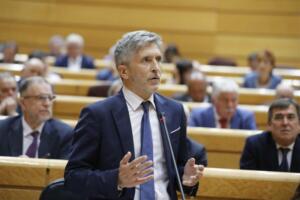 Fernando G. Marlaska, ministro del Interior