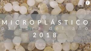 ‘Microplástico' es elegida palabra del año para la Fundéu
